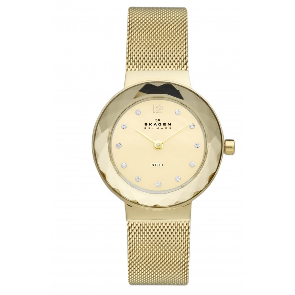 RELOGIO SKAGEN 456SGSG